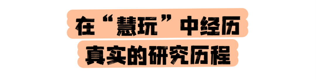 研究历程.png